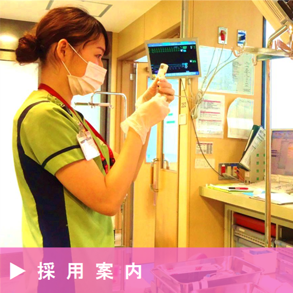 採用案内